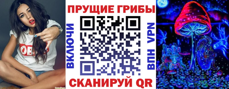 Купить закладки  Меленки  Псилоцибиновые грибы Cubensis 
